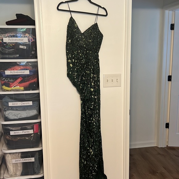 Alex Perry Corset Style Jensen Leopard Metallic Sheer Gown - Picture 6 of 13